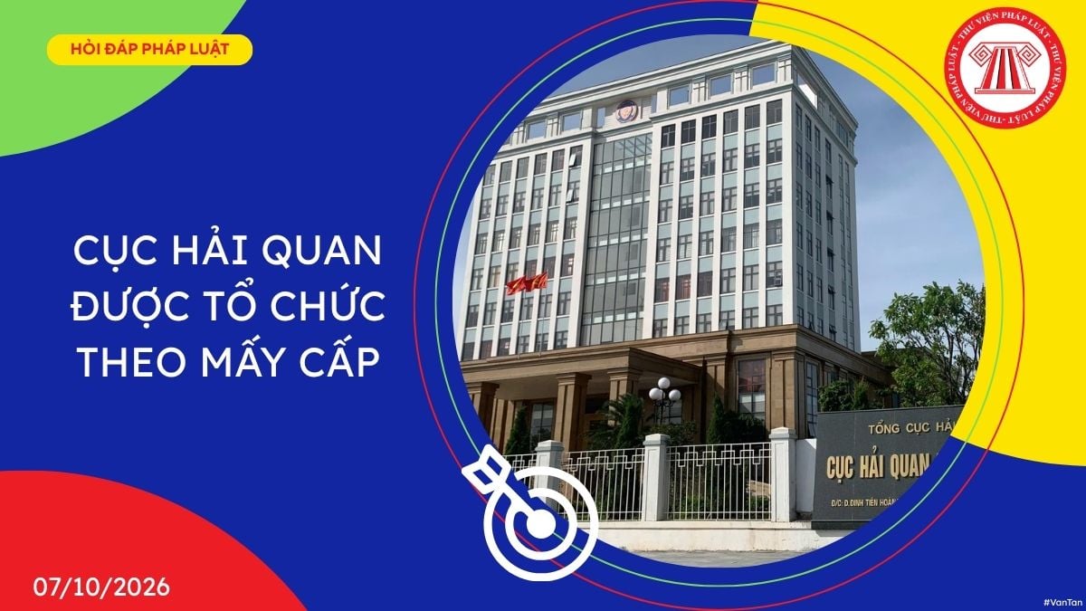 Hỏi đáp Pháp luật
