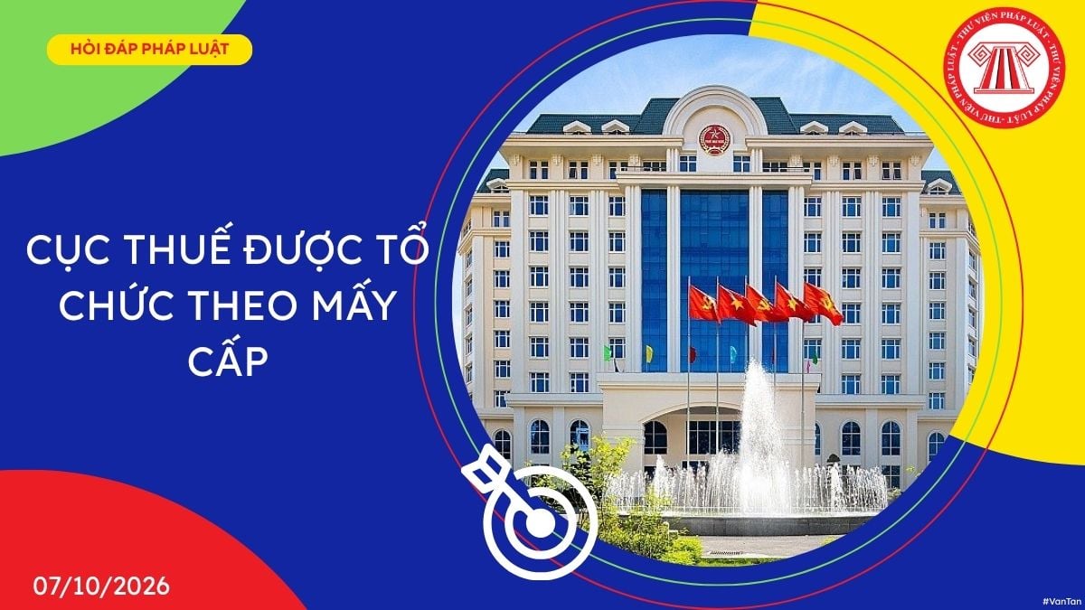 Hỏi đáp Pháp luật