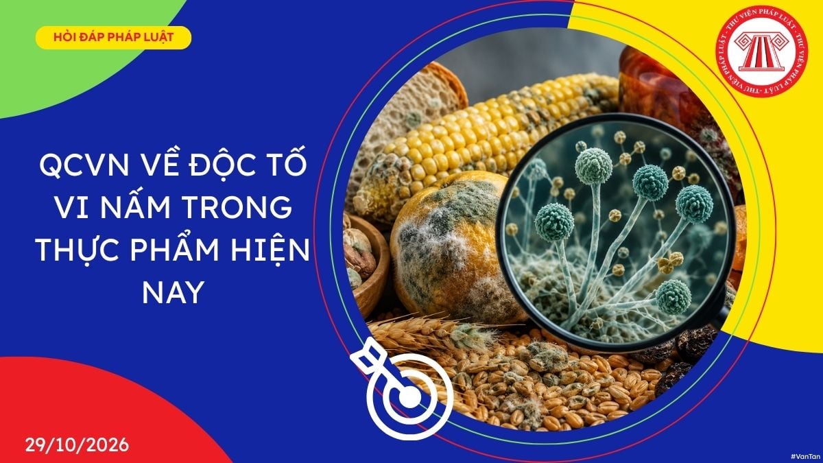 Hỏi đáp Pháp luật