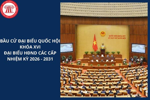 Hỏi đáp Pháp luật