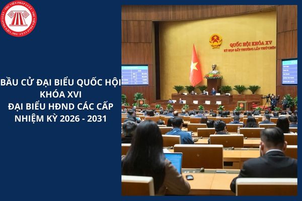 Hỏi đáp Pháp luật