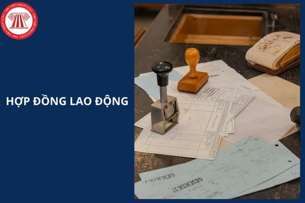 Hỏi đáp Pháp luật