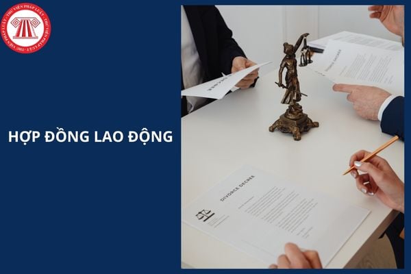 Hỏi đáp Pháp luật