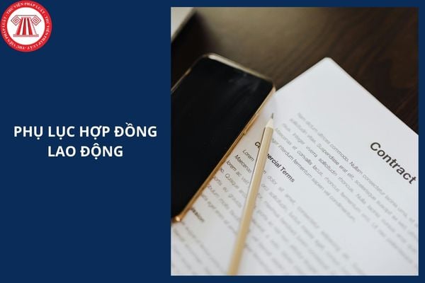 Mẫu phụ lục hợp đồng lao động mới nhất 2026 là mẫu nào?