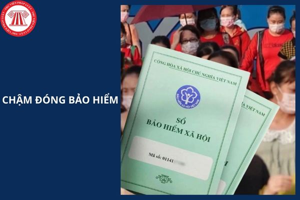 Hỏi đáp Pháp luật