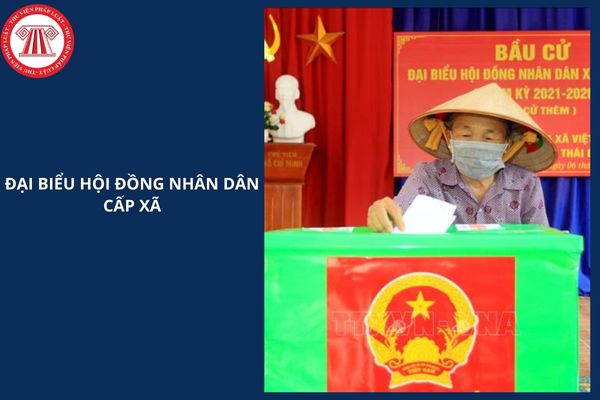 Hỏi đáp Pháp luật