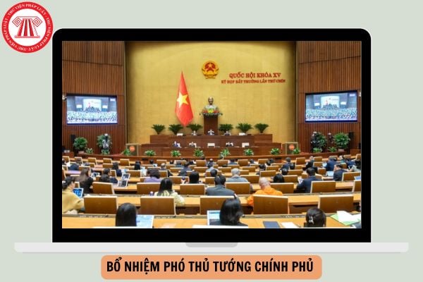Hỏi đáp Pháp luật