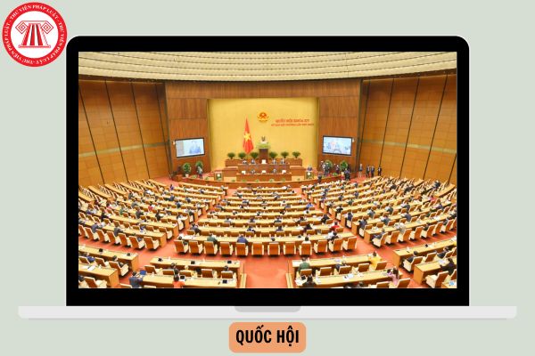 Hỏi đáp Pháp luật