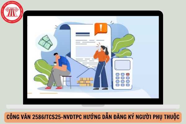 Hỏi đáp Pháp luật