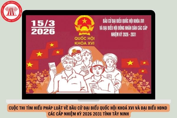 Hỏi đáp Pháp luật