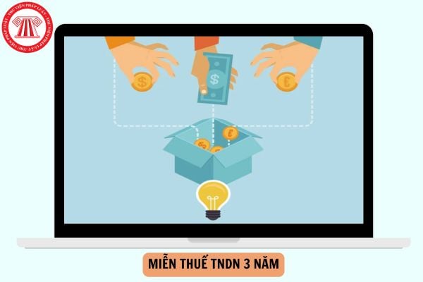 Quy định về người có số vốn góp cao nhất trong miễn thuế TNDN 3 năm có áp dụng đối với tổ chức không?