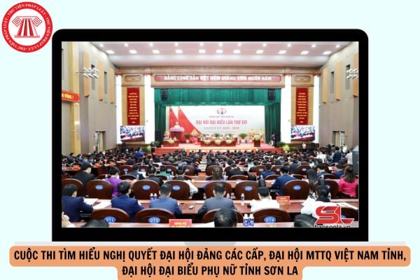 Hỏi đáp Pháp luật