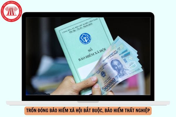 Hỏi đáp Pháp luật