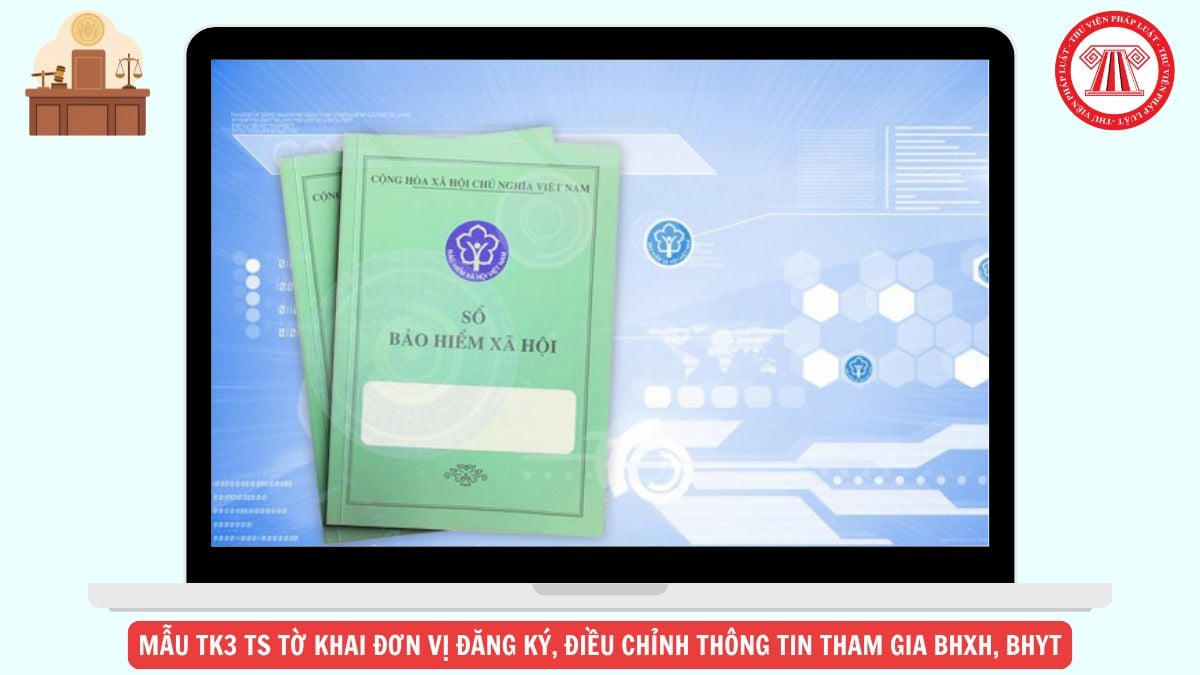 Hỏi đáp Pháp luật