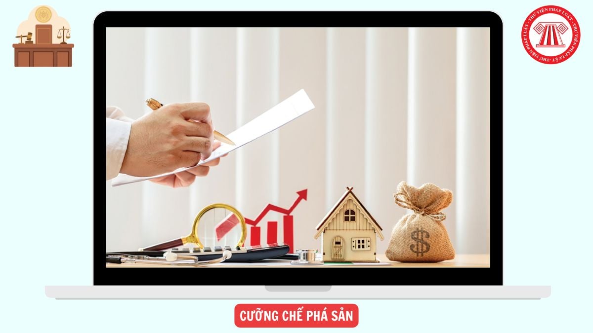Hỏi đáp Pháp luật