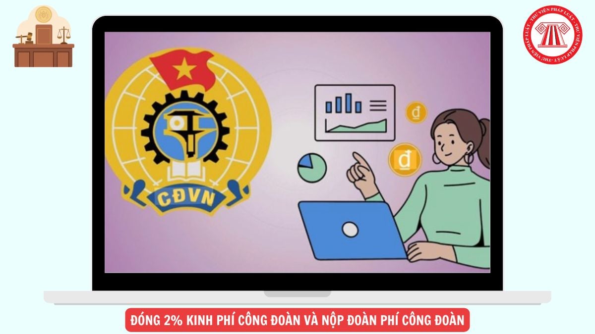 Hỏi đáp Pháp luật
