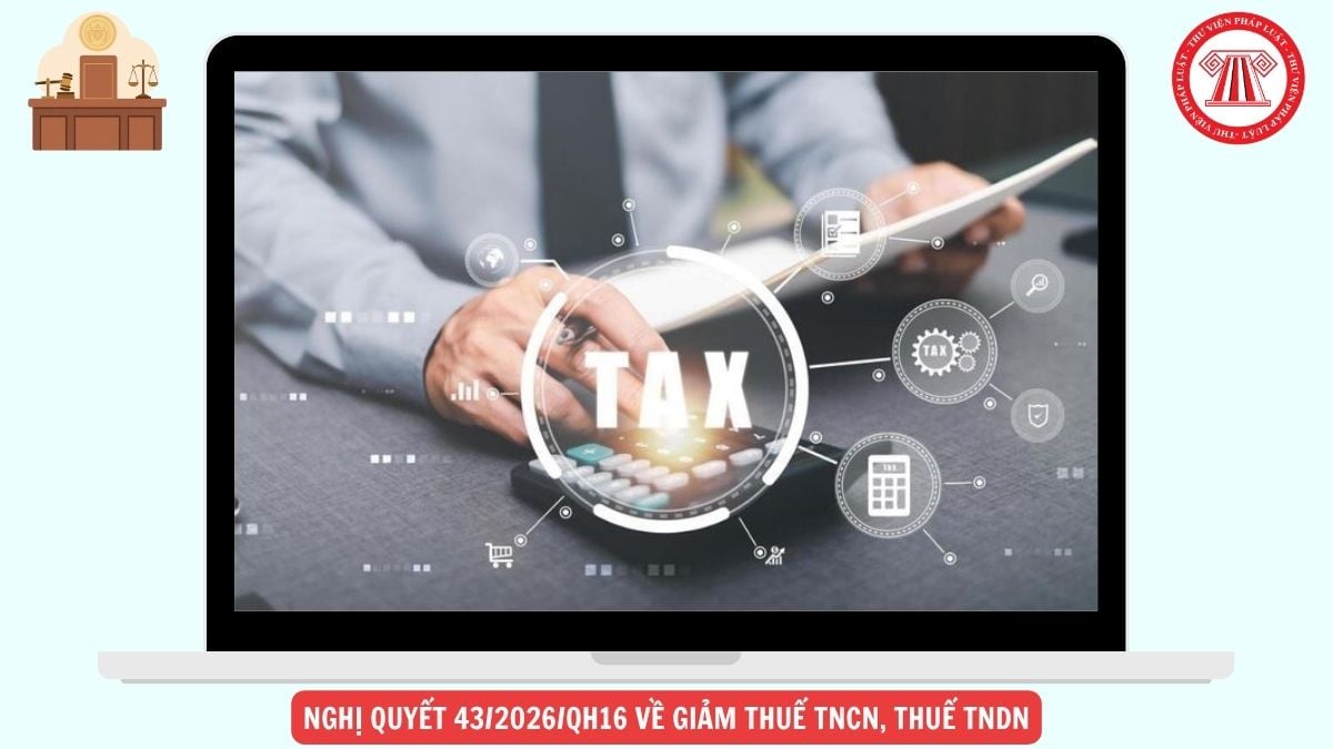 Hỏi đáp Pháp luật