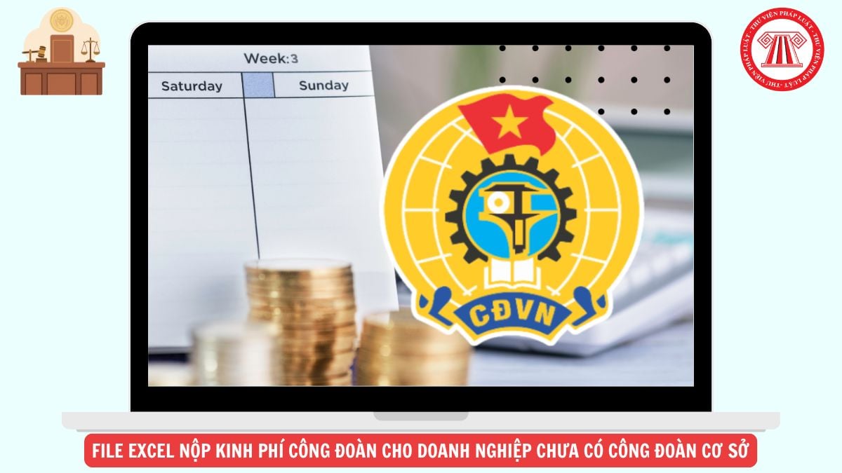Hỏi đáp Pháp luật