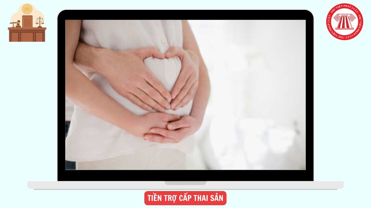 Hỏi đáp Pháp luật