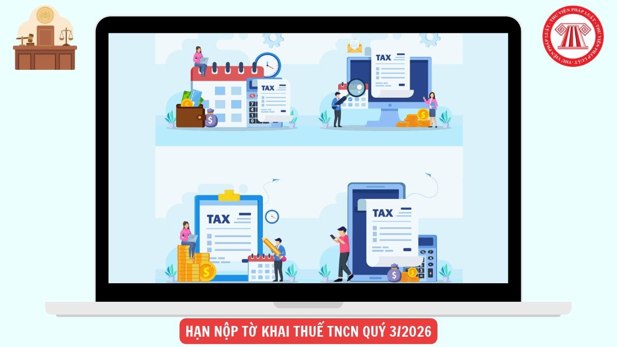Hỏi đáp Pháp luật