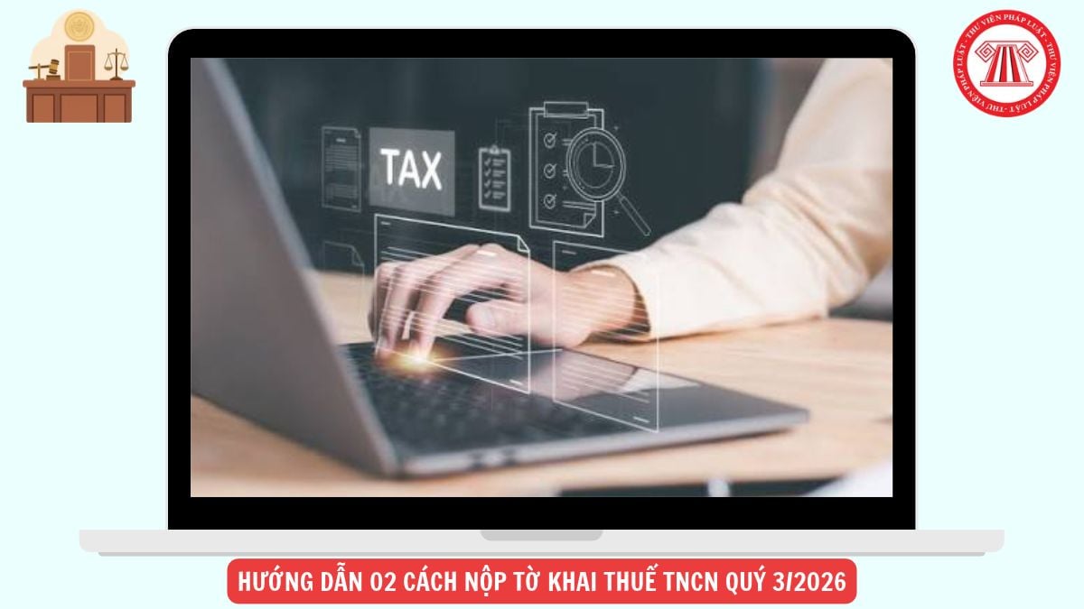 Hỏi đáp Pháp luật