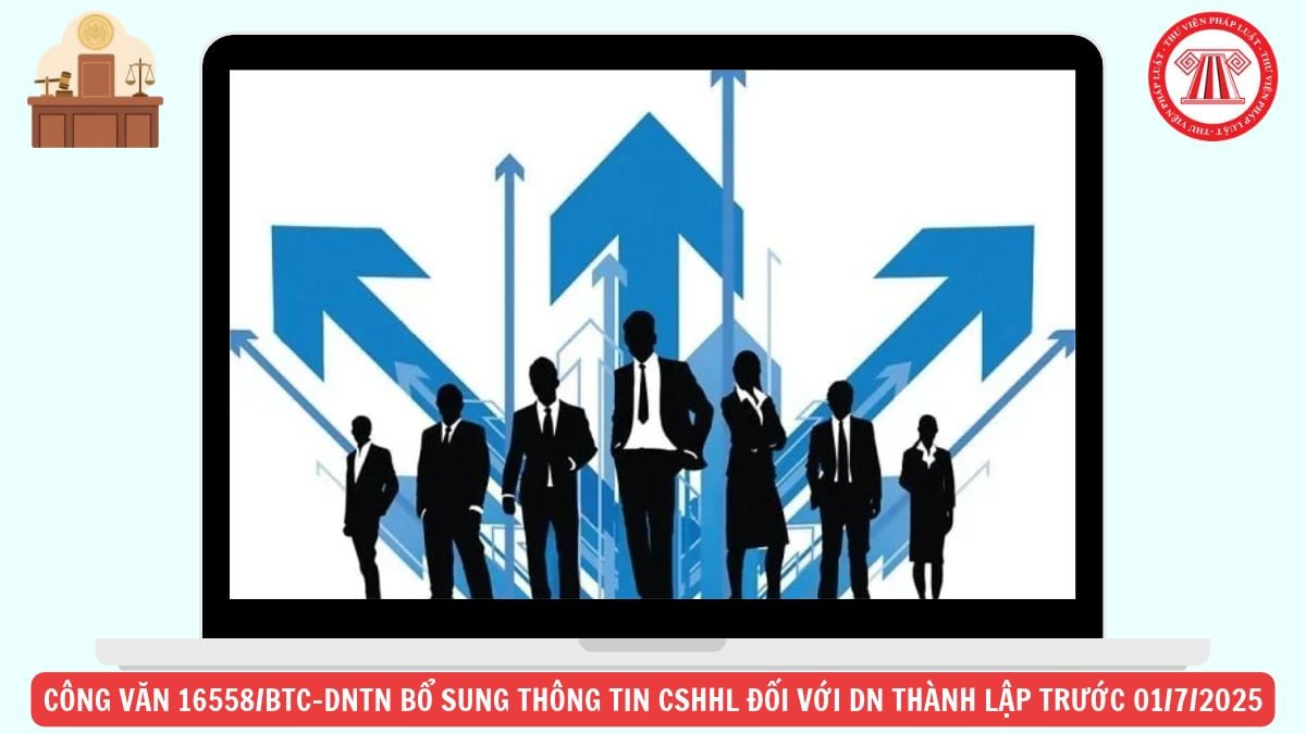 Hỏi đáp Pháp luật