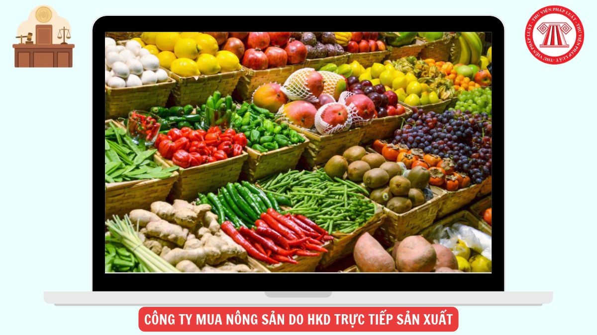 Hỏi đáp Pháp luật