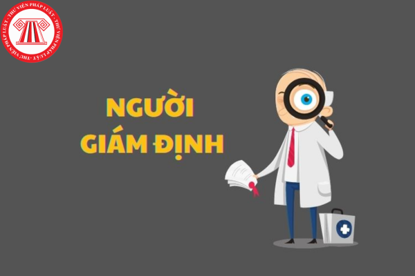 người giám định