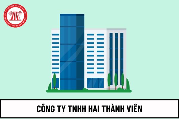 ban kiểm soát công ty TNHH 2 thành viên trở lên