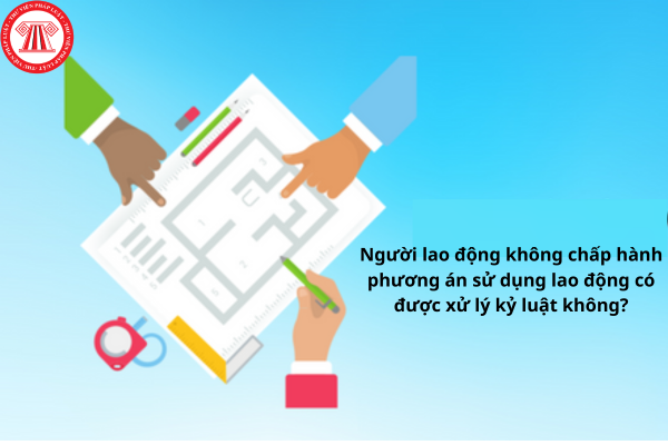 phương án sử dụng lao động