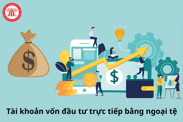 tài khoản vốn đầu tư trực tiếp