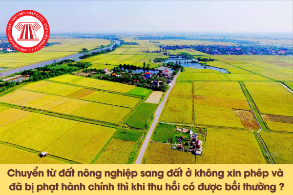 Chuyển từ đất nông nghiệp sang đất ở không xin phép và đã bị phạt hành chính thì khi thu hồi có được bồi thường hay không 