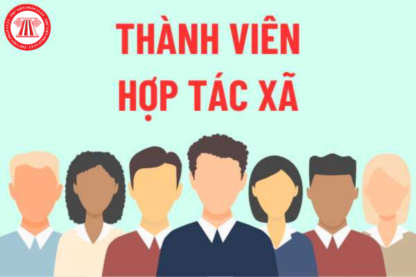 thành viên hợp tác xã