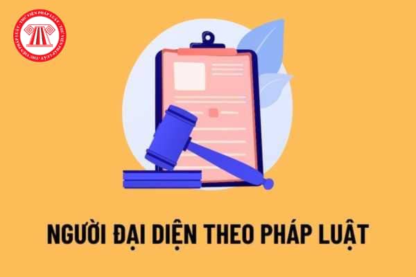 người đại diện theo pháp luật