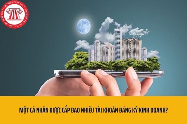 Một cá nhân được cấp bao nhiêu tài khoản đăng ký kinh doanh