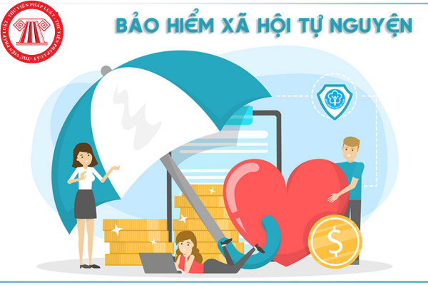 mua BHXH tự nguyện năm 2025 bao nhiêu tiền