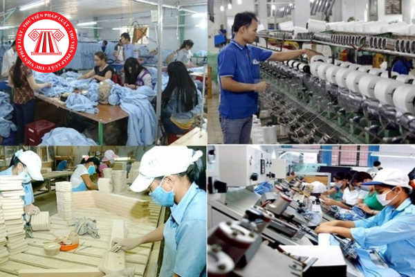 Có bao nhiêu loại hình kinh tế? Loại hình nào là động lực quan trọng nhất của nền kinh tế quốc gia?