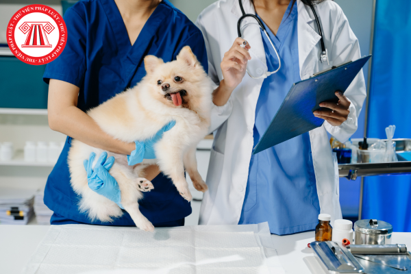 Kinh doanh dịch vụ khảo nghiệm thuốc thú y