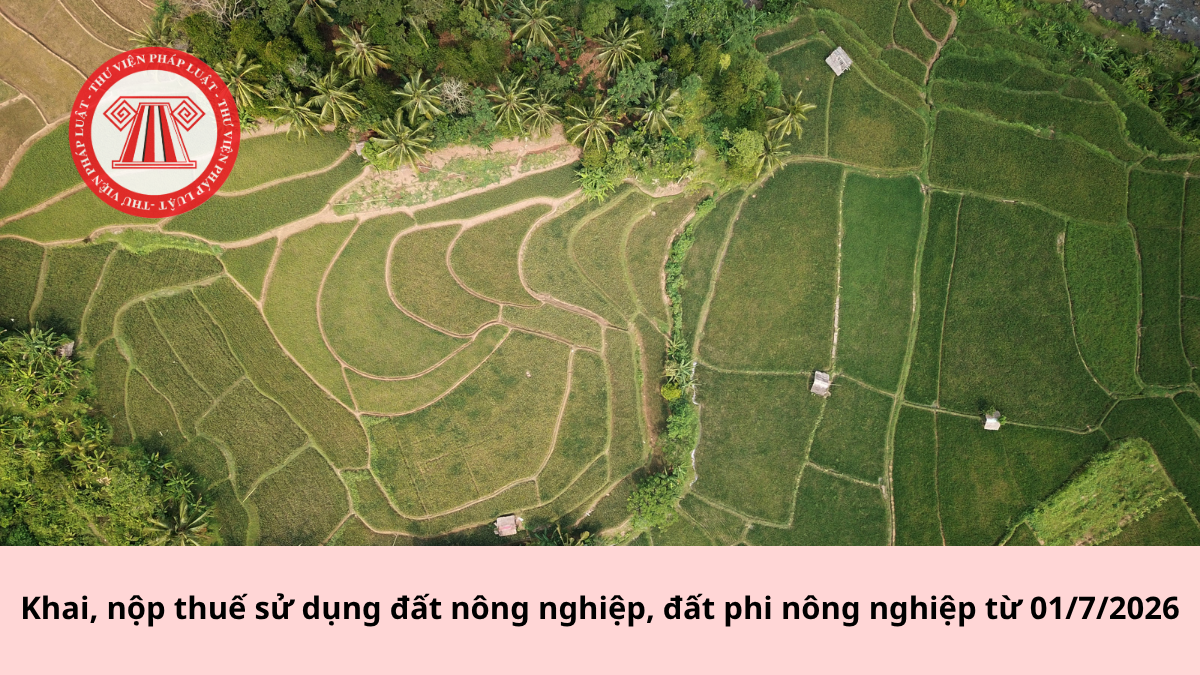 Khai, nộp thuế sử dụng đất nông nghiệp, đất phi nông nghiệp từ 01/7/2026