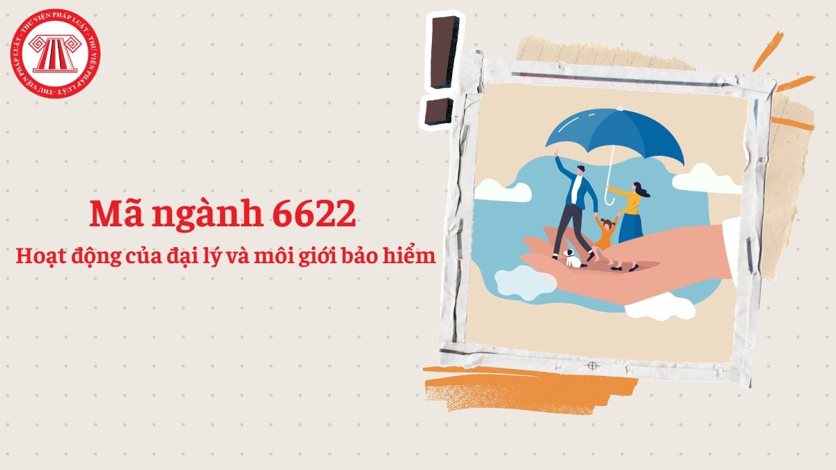 Mã ngành 6622 là gì? Hoạt động của đại lý và môi giới bảo hiểm đăng ký mã ngành gì?