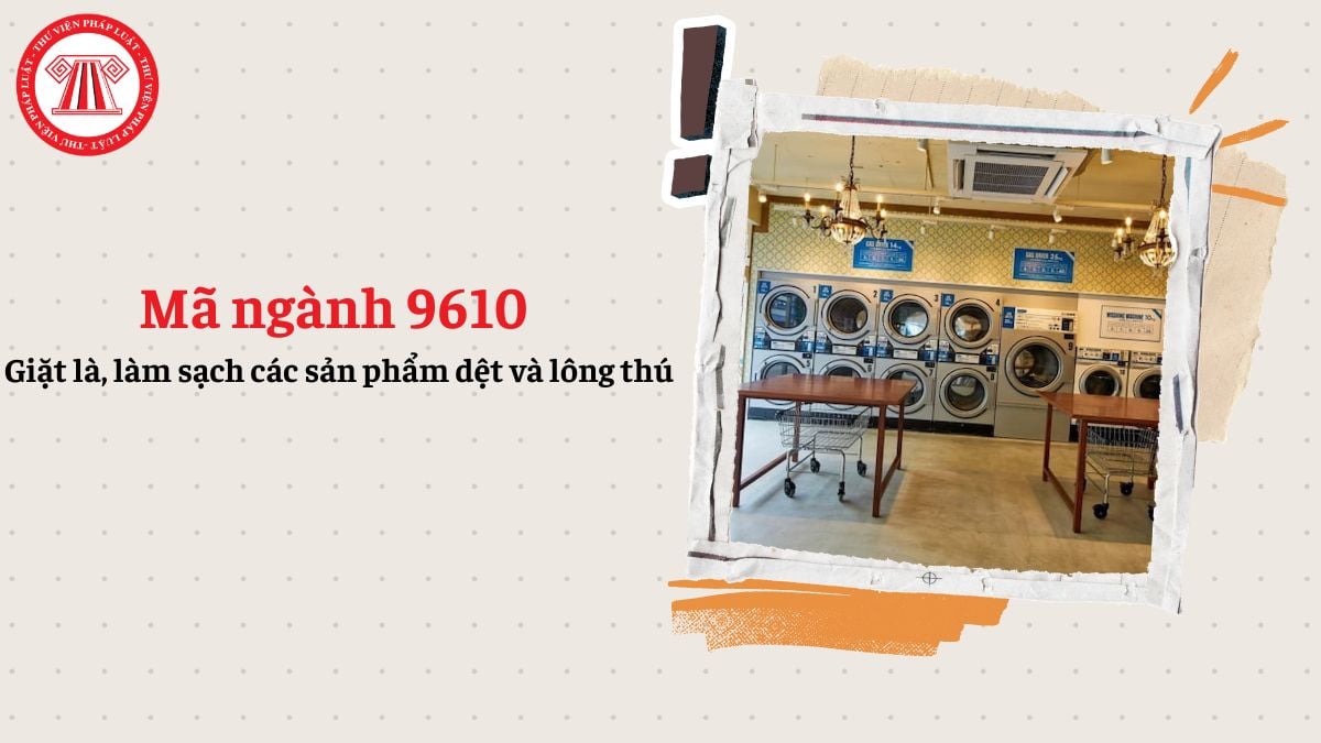 Mã ngành 9610 là gì? Giặt là, làm sạch các sản phẩm dệt và lông thú đăng ký mã ngành gì?