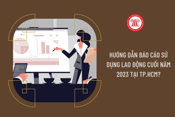 Hướng dẫn báo cáo sử dụng lao động cuối năm 2023 tại Tp.HCM?