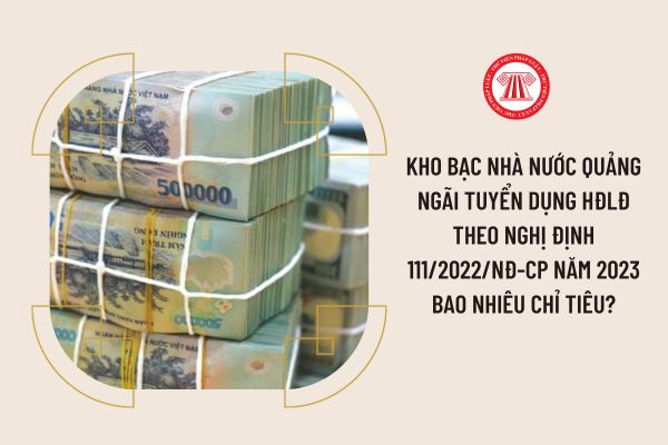 Kho bạc Nhà nước Quảng Ngãi tuyển dụng HĐLĐ theo Nghị định 111/2022/NĐ-CP năm 2023 bao nhiêu chỉ tiêu?