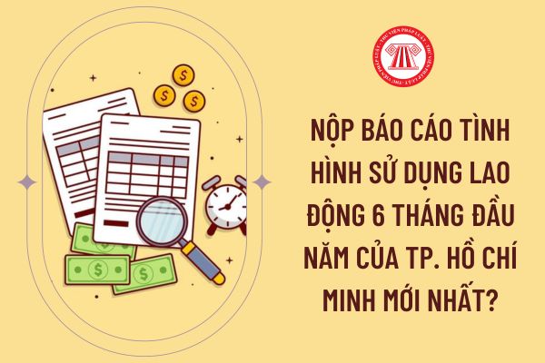 nộp báo cáo tình hình sử dụng lao động 6 tháng đầu năm của Tp. Hồ Chí Minh mới nhất?