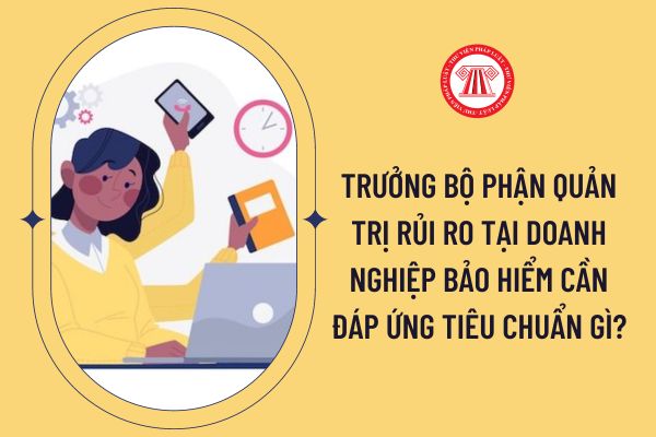 Trưởng bộ phận quản trị rủi ro tại doanh nghiệp bảo hiểm cần đáp ứng tiêu chuẩn gì?