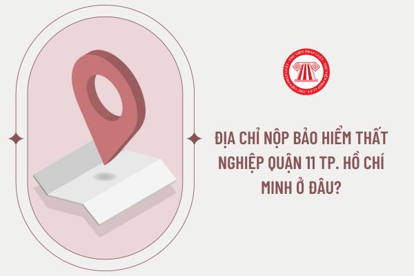 Địa chỉ nộp bảo hiểm thất nghiệp Quận 11 Tp. Hồ Chí Minh ở đâu?