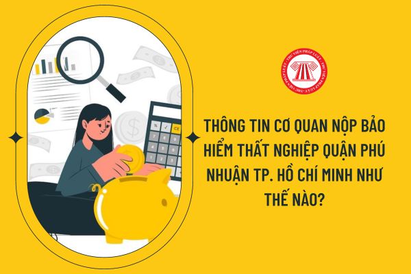 Thông tin cơ quan nộp bảo hiểm thất nghiệp quận Phú Nhuận Tp. Hồ Chí Minh như thế nào?