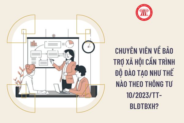 Chuyên viên về bảo trợ xã hội cần trình độ đào tạo như thế nào theo Thông tư 10/2023/TT-BLĐTBXH?