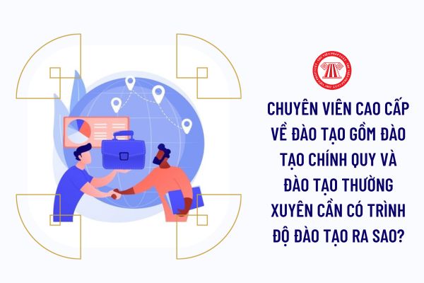 Chuyên viên cao cấp về đào tạo gồm đào tạo chính quy và đào tạo thường xuyên cần có trình độ đào tạo ra sao?