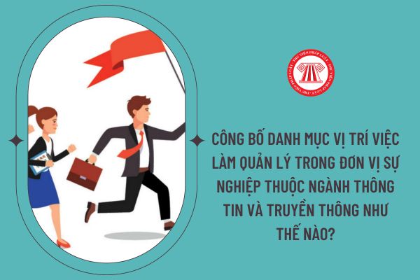 Công bố danh mục vị trí việc làm quản lý trong đơn vị sự nghiệp thuộc ngành thông tin và truyền thông như thế nào?